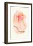 Peachy Keen No. 2-Suzanne Nicoll-Framed Art Print