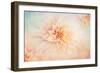 Peachy-Jacky Parker-Framed Giclee Print