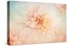 Peachy-Jacky Parker-Stretched Canvas