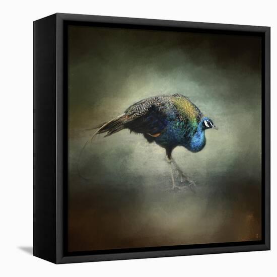 Peacock 10-Jai Johnson-Framed Stretched Canvas