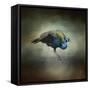 Peacock 10-Jai Johnson-Framed Stretched Canvas