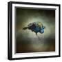 Peacock 10-Jai Johnson-Framed Giclee Print