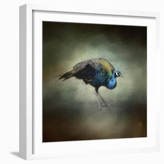 Peacock 10-Jai Johnson-Framed Giclee Print