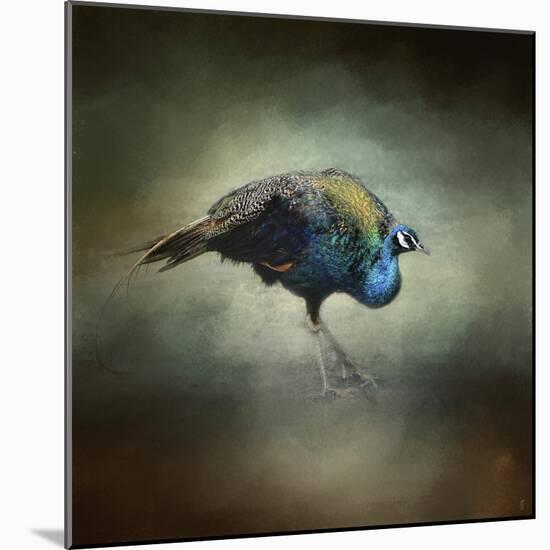 Peacock 10-Jai Johnson-Mounted Giclee Print