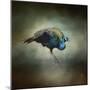 Peacock 10-Jai Johnson-Mounted Giclee Print