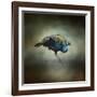 Peacock 10-Jai Johnson-Framed Giclee Print