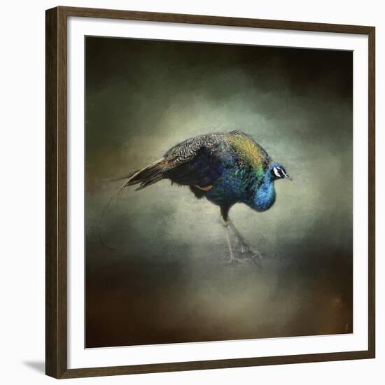 Peacock 10-Jai Johnson-Framed Giclee Print