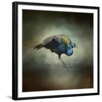 Peacock 10-Jai Johnson-Framed Giclee Print