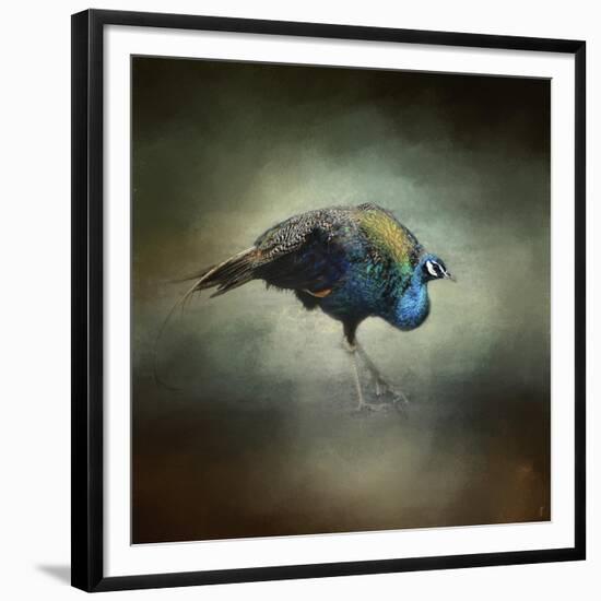 Peacock 10-Jai Johnson-Framed Giclee Print