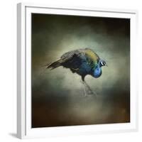 Peacock 10-Jai Johnson-Framed Giclee Print