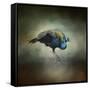Peacock 10-Jai Johnson-Framed Stretched Canvas