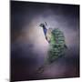 Peacock 11-Jai Johnson-Mounted Premium Giclee Print