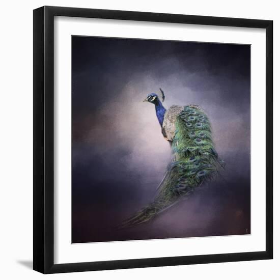 Peacock 11-Jai Johnson-Framed Giclee Print