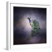 Peacock 11-Jai Johnson-Framed Giclee Print