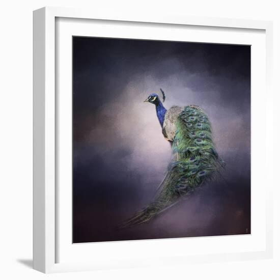 Peacock 11-Jai Johnson-Framed Giclee Print