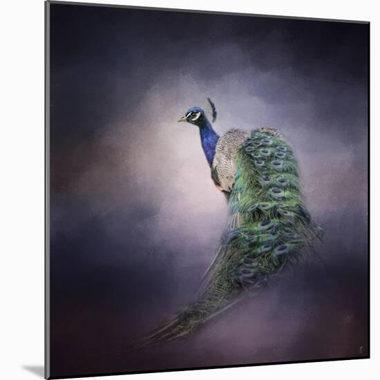Peacock 11-Jai Johnson-Mounted Giclee Print
