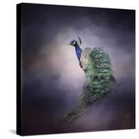 Peacock 11-Jai Johnson-Stretched Canvas