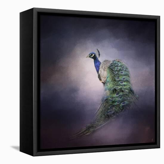 Peacock 11-Jai Johnson-Framed Stretched Canvas