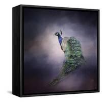 Peacock 11-Jai Johnson-Framed Stretched Canvas