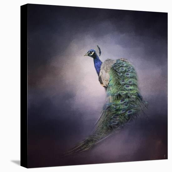 Peacock 11-Jai Johnson-Stretched Canvas