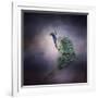 Peacock 11-Jai Johnson-Framed Giclee Print