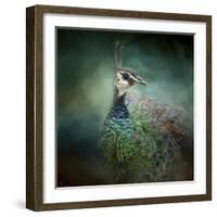 Peacock 12-Jai Johnson-Framed Giclee Print