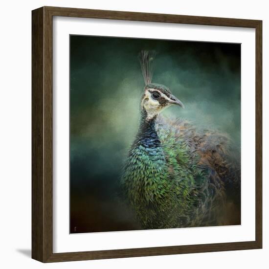 Peacock 12-Jai Johnson-Framed Giclee Print