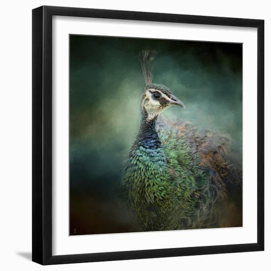 Peacock 12-Jai Johnson-Framed Giclee Print