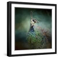 Peacock 12-Jai Johnson-Framed Giclee Print