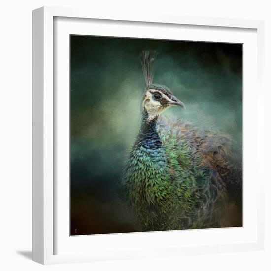 Peacock 12-Jai Johnson-Framed Giclee Print