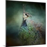 Peacock 12-Jai Johnson-Mounted Giclee Print