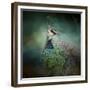 Peacock 12-Jai Johnson-Framed Giclee Print