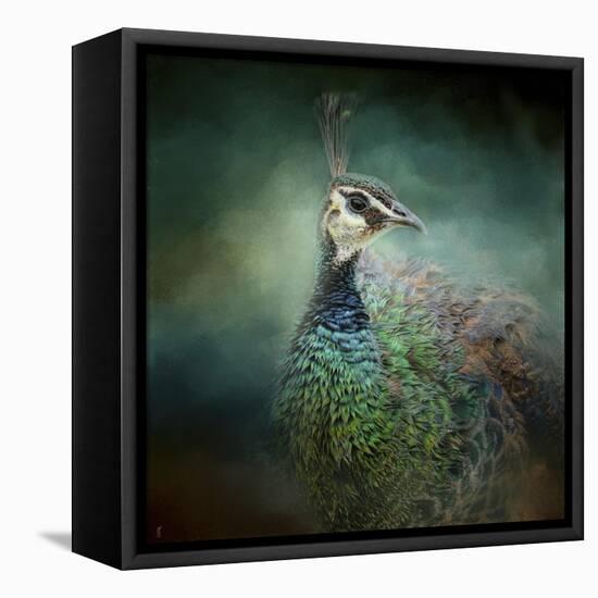 Peacock 12-Jai Johnson-Framed Stretched Canvas