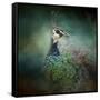 Peacock 12-Jai Johnson-Framed Stretched Canvas