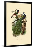 Peacock, 1833-39-null-Framed Giclee Print