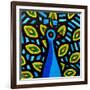 Peacock 1-John Nolan-Framed Giclee Print