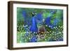 Peacock 2-Ata Alishahi-Framed Giclee Print