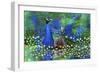 Peacock 2-Ata Alishahi-Framed Giclee Print