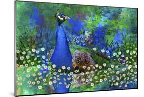 Peacock 2-Ata Alishahi-Mounted Giclee Print