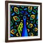 Peacock 2-John Nolan-Framed Giclee Print