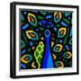 Peacock 2-John Nolan-Framed Premium Giclee Print