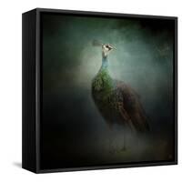 Peacock 2-Jai Johnson-Framed Stretched Canvas