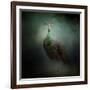 Peacock 2-Jai Johnson-Framed Giclee Print