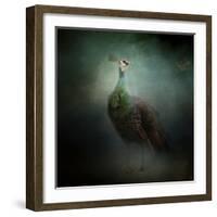 Peacock 2-Jai Johnson-Framed Giclee Print