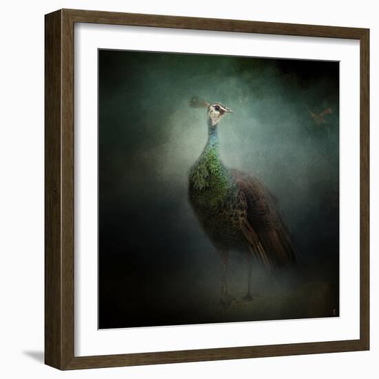 Peacock 2-Jai Johnson-Framed Giclee Print