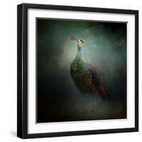 Peacock 2-Jai Johnson-Framed Giclee Print