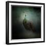 Peacock 2-Jai Johnson-Framed Giclee Print