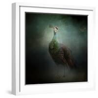 Peacock 2-Jai Johnson-Framed Giclee Print