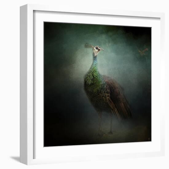 Peacock 2-Jai Johnson-Framed Giclee Print