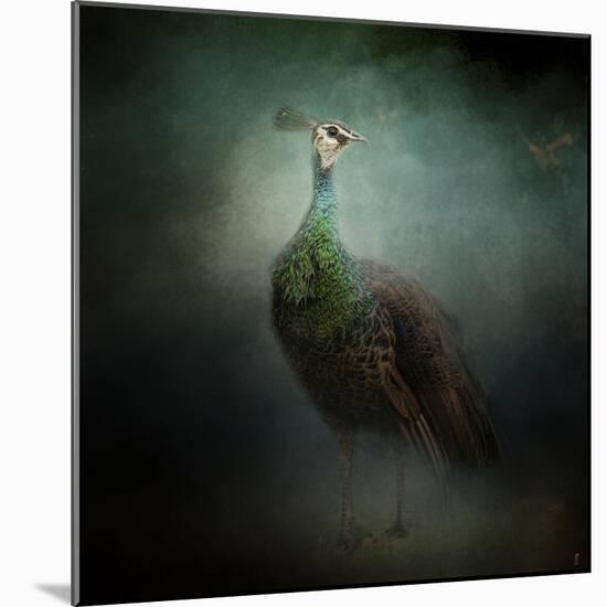 Peacock 2-Jai Johnson-Mounted Giclee Print